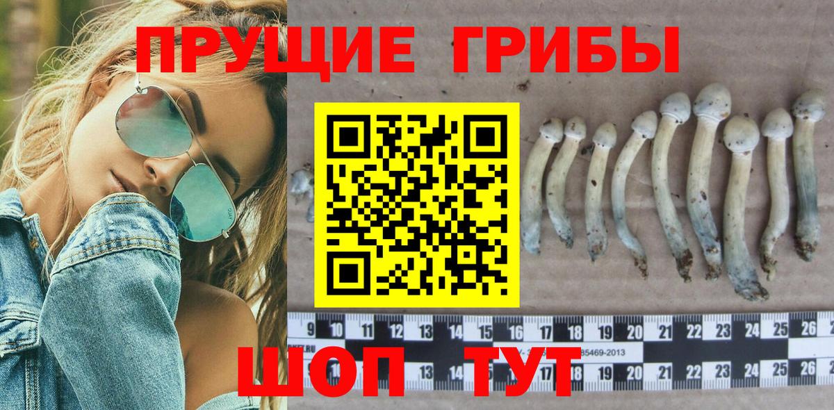 Галлюциногенные грибы прущие грибы Арсеньев