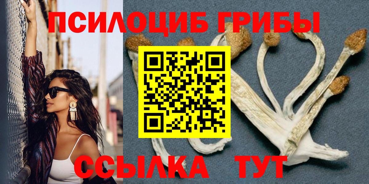 Арсеньев  Галлюциногенные грибы GOLDEN TEACHER  Вход с VPN 